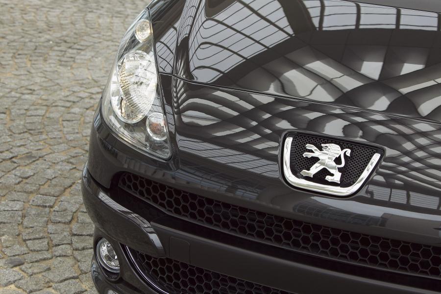 Детали экстерьера Peugeot 1007 RC Concept 2004 года  (фото 18 из 35)